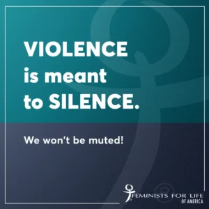A graphic that says Violence is meant to silence. We won't be silenced!