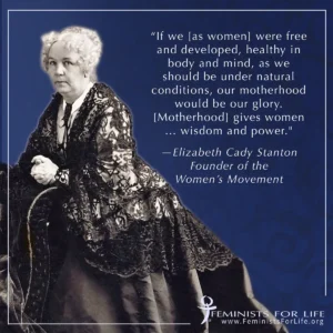 Quote by Elizabeth Cady Stanton